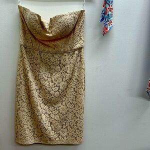 Donna Morgan Collection CREAM fawn Lace Bustier Dress NWT Size 10